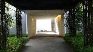 DSC00360 のコピー.JPG