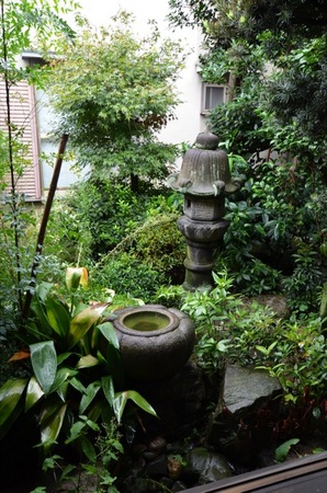 DSC_0227.jpg