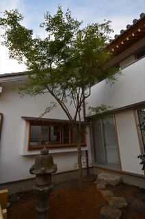 DSC_2036 のコピー.JPG