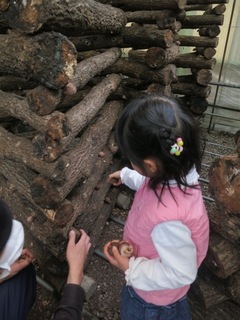 IMG_0010 のコピー.JPG