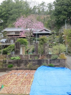 IMG_0013 のコピー.JPG