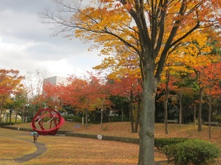 IMG_0053 のコピー.JPG