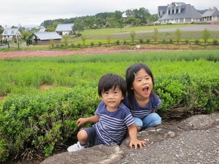 IMG_0114 のコピー.JPG