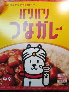 IMG_0197 のコピー.JPG