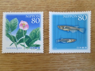 IMG_0298 のコピー.JPG