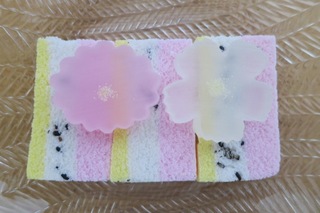 IMG_0375 のコピー.JPG