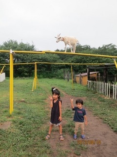 IMG_0475 のコピー.JPG