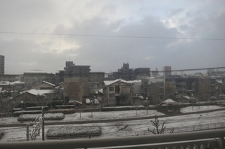 IMG_0726 のコピー.JPG