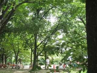 IMG_0746.JPG