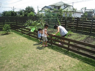 IMG_0987.JPG