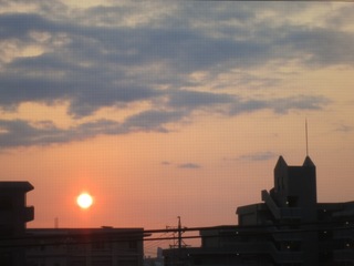 IMG_1282 のコピー.JPG