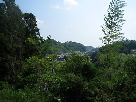風景をとりこむ