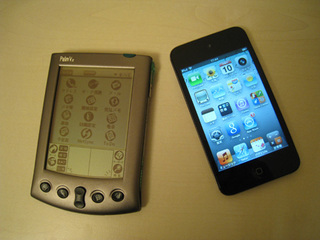 palm