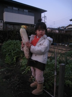 IMG_7335 2.jpg