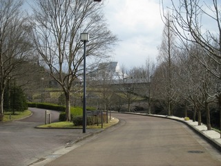 IMG_7862 2.jpg