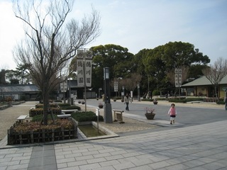 IMG_7877.jpg