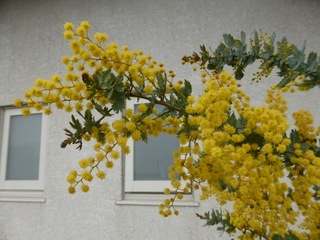P1000258.JPG