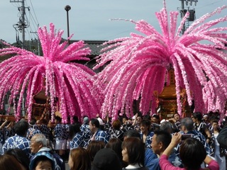 P1000555 のコピー.JPG