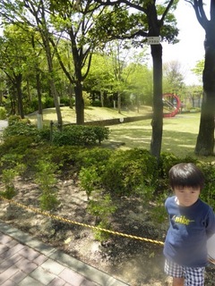 P1000605 のコピー.JPG