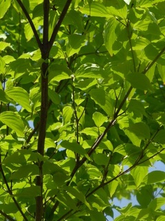 P1000643.JPG