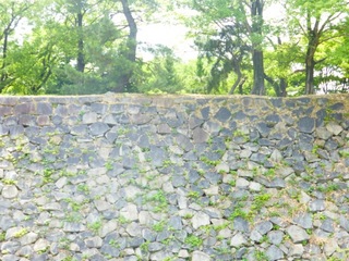 P1010166.JPG