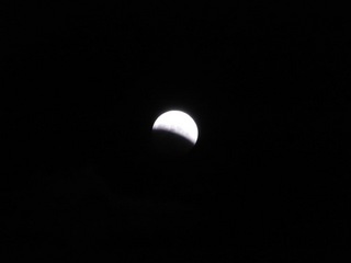 P1010863.JPG
