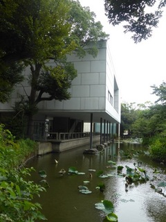 P1040510 2 のコピー.JPG