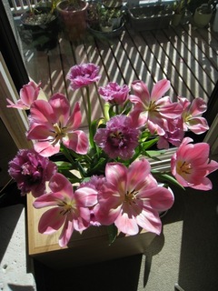 PHOTO 020.jpg