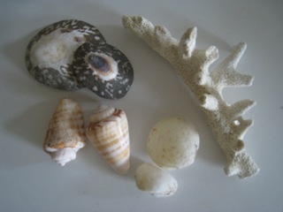 okinawa 004.jpg
